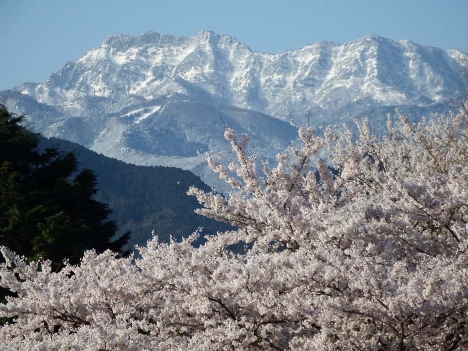 石鎚山 天狗岳 山小屋と山の天気予報と最新情報 Mikketa Portalfield