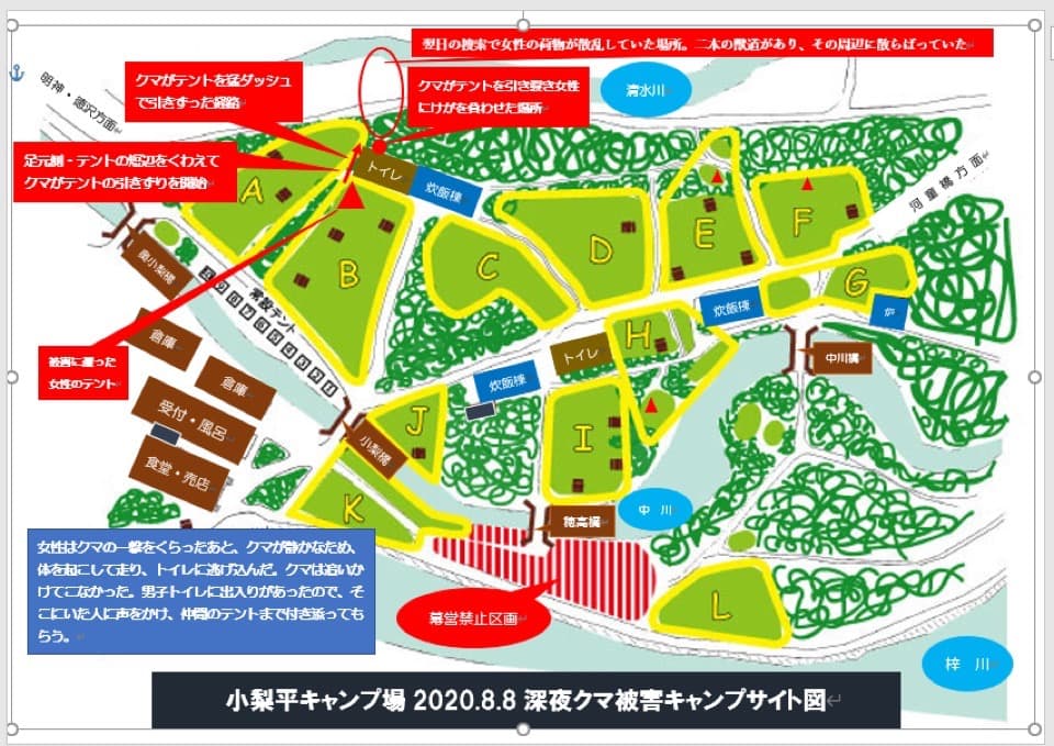 熊による事故で小梨平キャンプ場が一連の経過と今後について詳細を発信 Portalfield News